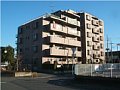 300-1234-2-27-1-201_0002.jpg